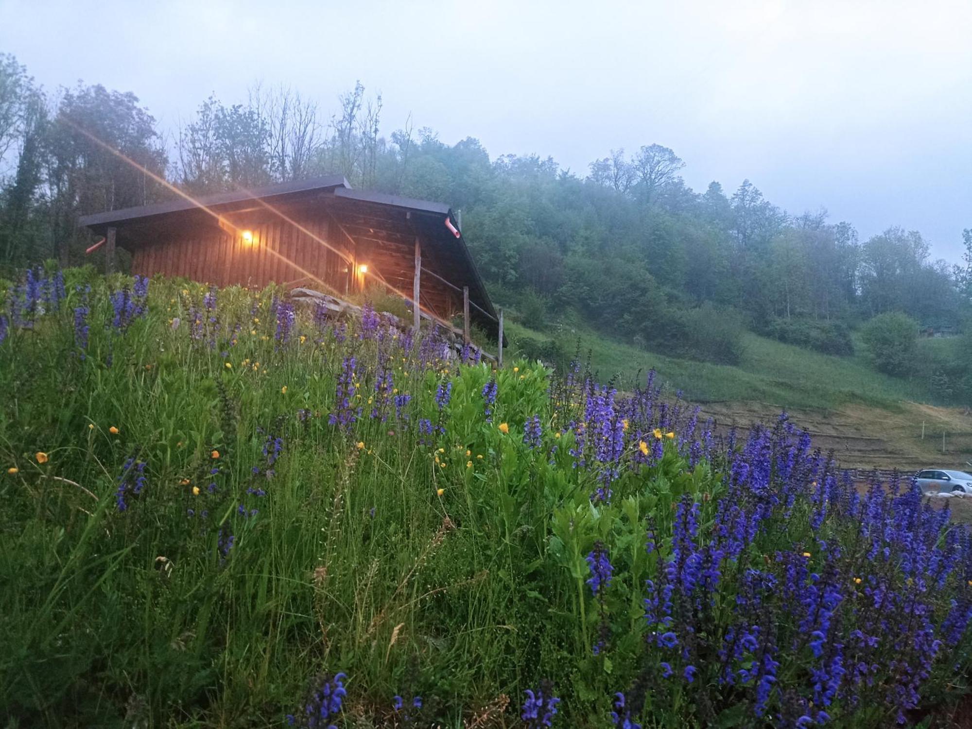 Agriturismo Cascina Cornella Cremeno ภายนอก รูปภาพ