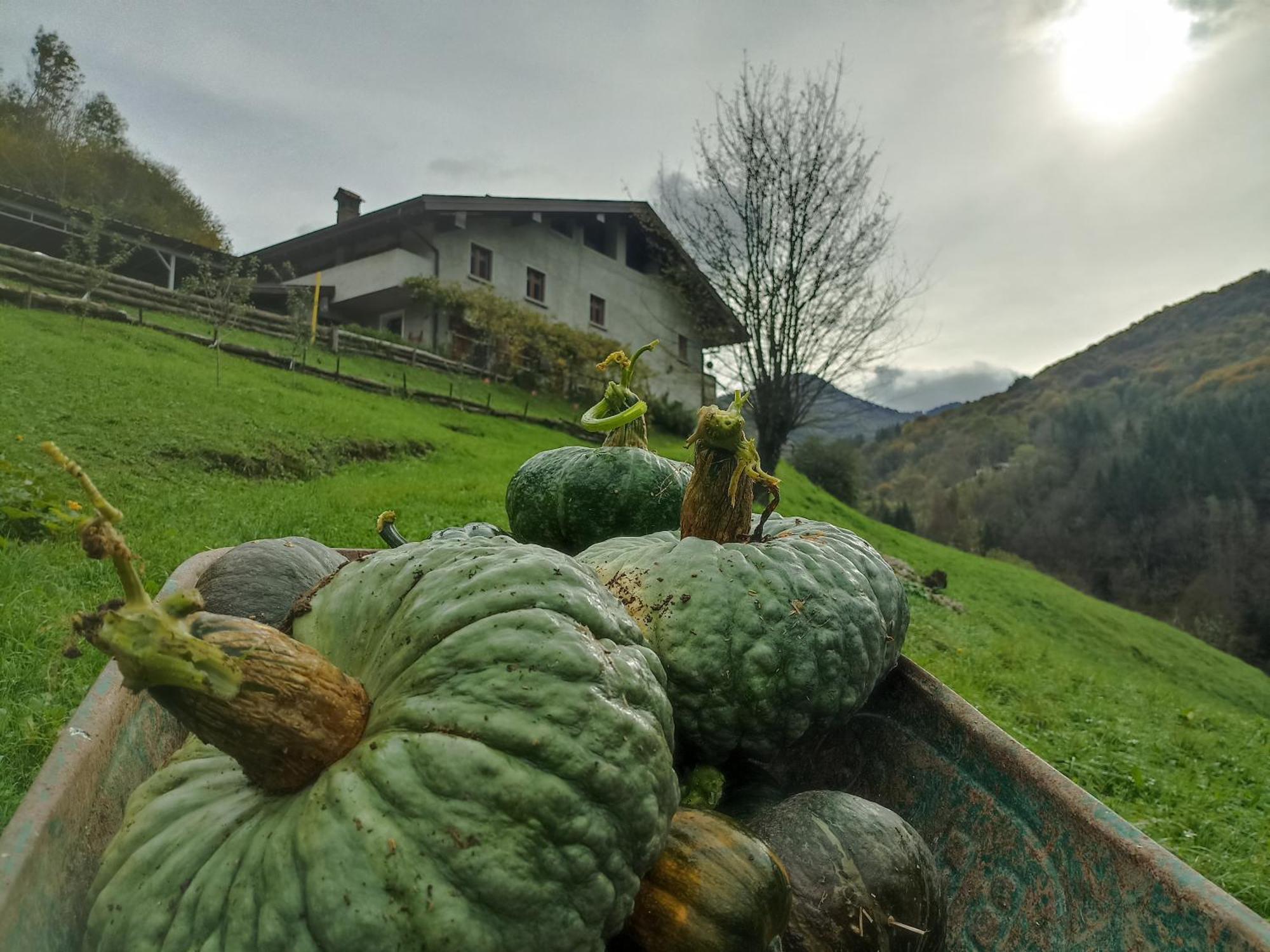 Agriturismo Cascina Cornella Cremeno ภายนอก รูปภาพ