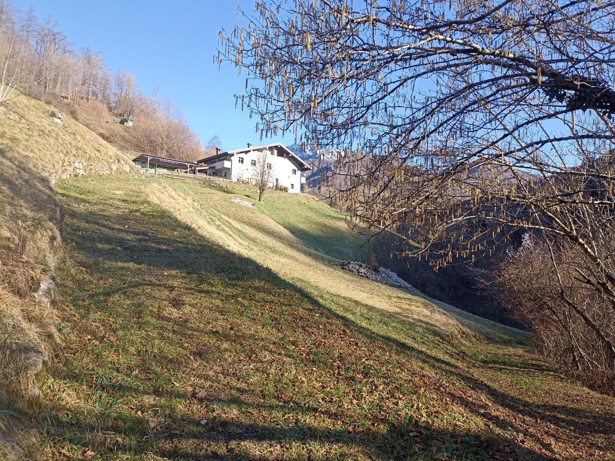 Agriturismo Cascina Cornella Cremeno ภายนอก รูปภาพ