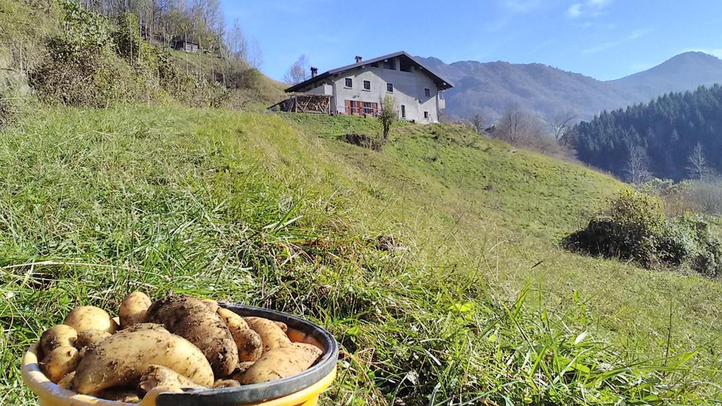 Agriturismo Cascina Cornella Cremeno ภายนอก รูปภาพ